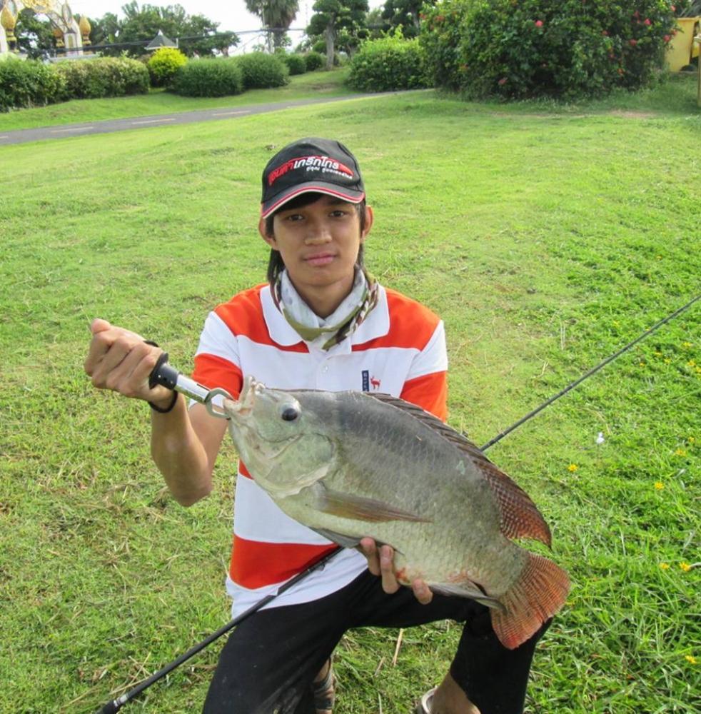 ผิดคิว ตัวเดียวกลับบ้าน ที่นี้KORAT