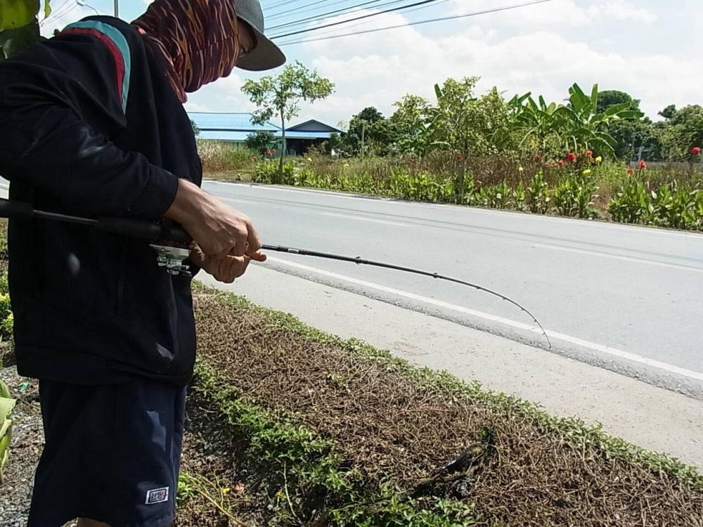 สุวินทวงค์