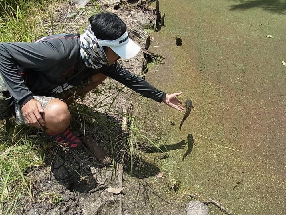 สุวินทวงค์