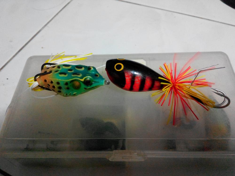 ลองส่งคับ