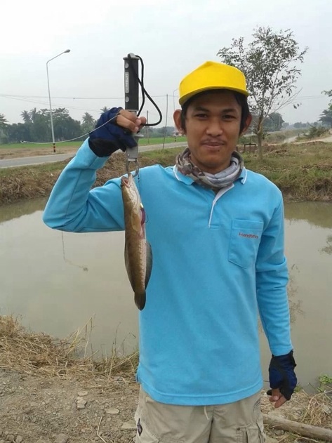 ออกเดินหนอน