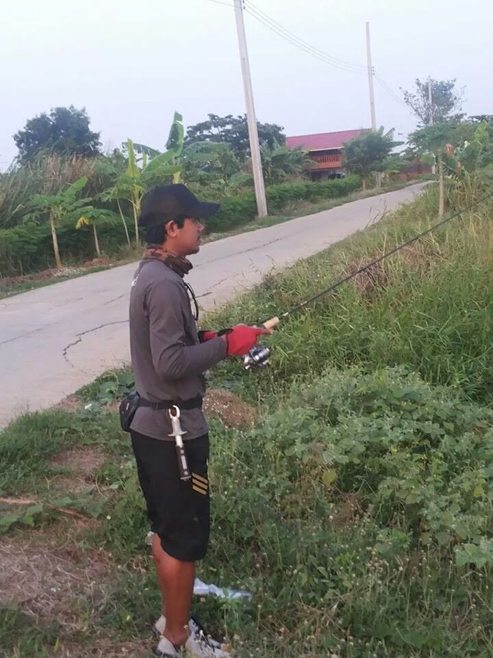 ไม้เดียว กลับ