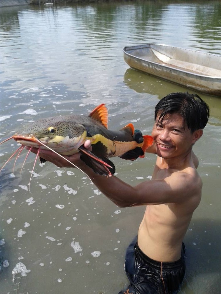 เล็กๆ น้อยๆ กับปลาในบ่อที่บ้าน