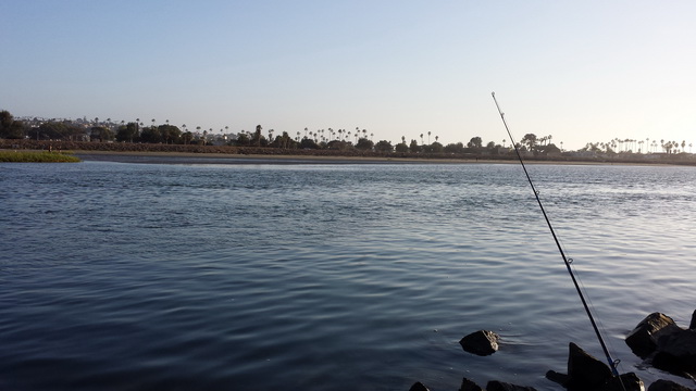 หมายเดียวทั้งปลาทั้งกุ้ง ที่ Mission Bay
