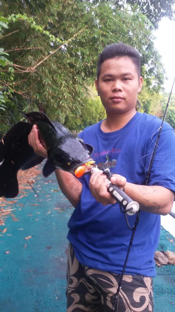 @@@@@ นั ด ล้ า ง ต า จ ร้ า @@@@@