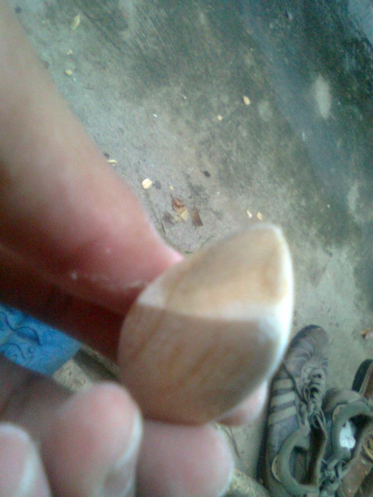 มือใหม่ หัดทำคับผม กบสามเหลี่ยม