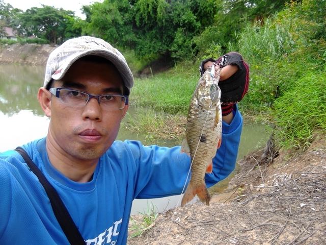 ส่งท้าย ก่อนจะไปมองทุ่นครับ(ชิงหลิว)