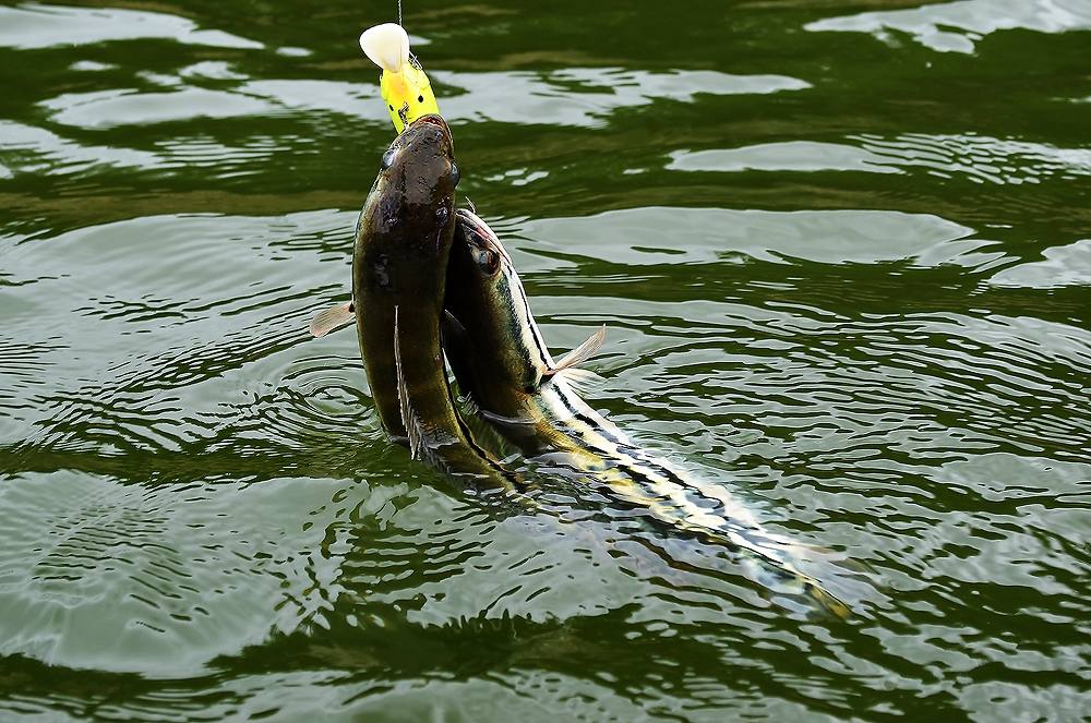 ..... H o l i d a y Fishing Trip แบบ Chill Chill ^^ .....