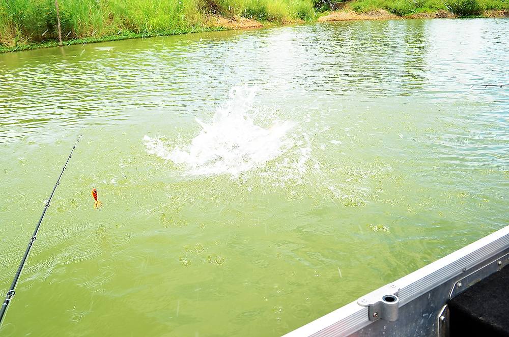 ..... H o l i d a y Fishing Trip แบบ Chill Chill ^^ .....