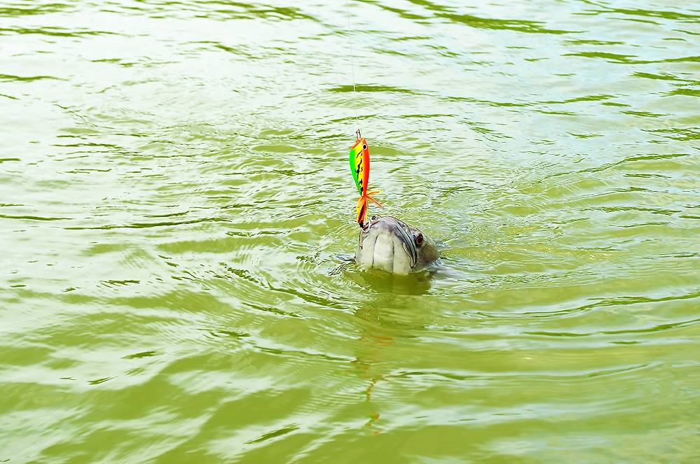 ..... H o l i d a y Fishing Trip แบบ Chill Chill ^^ .....