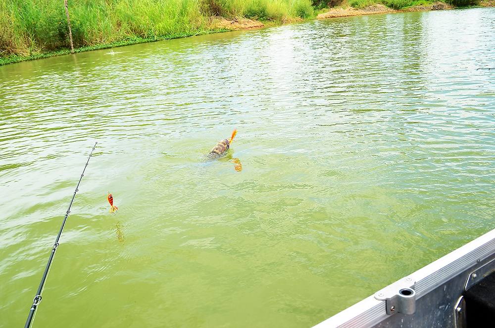 ..... H o l i d a y Fishing Trip แบบ Chill Chill ^^ .....