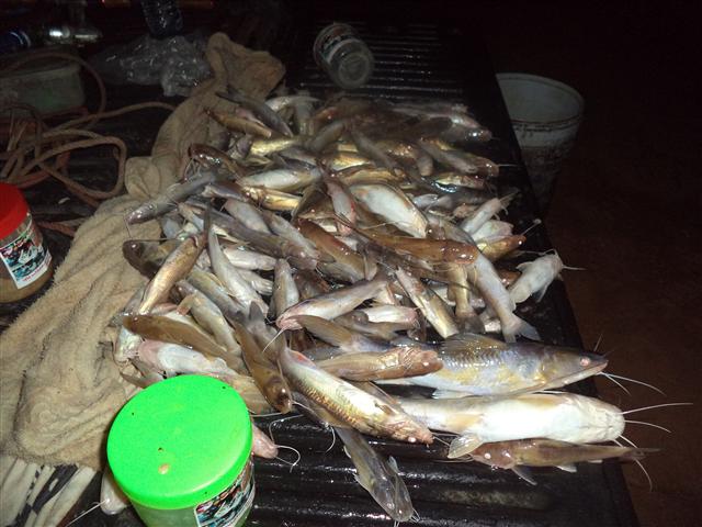 ได้มาอีกนิด