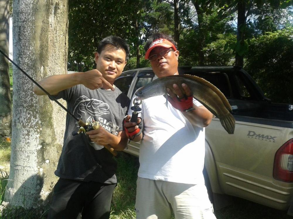 Texas Rig มา Rig ที่ อ.ปากช่อง