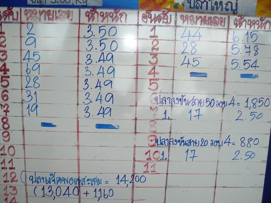 28 ก.ย.นี้แล้วนะครับกับแมทช์ 50,000 OPEN บ่อจ้าวซันฟิชชิ่ง สระบุรี