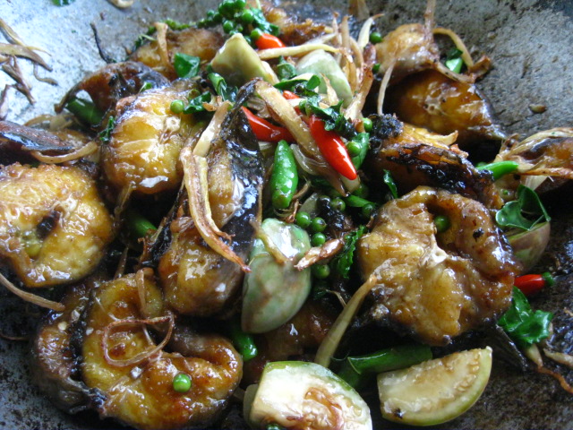 ปลาดุกผัดฉ่า 