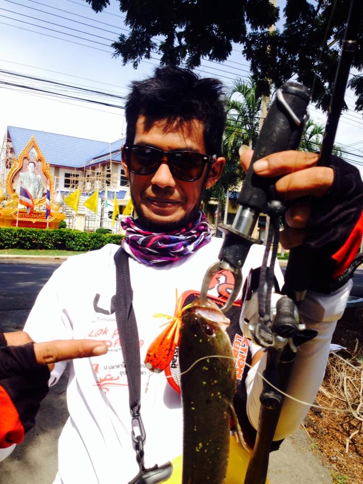 กบกระโดด ลองกรอดู ซิ