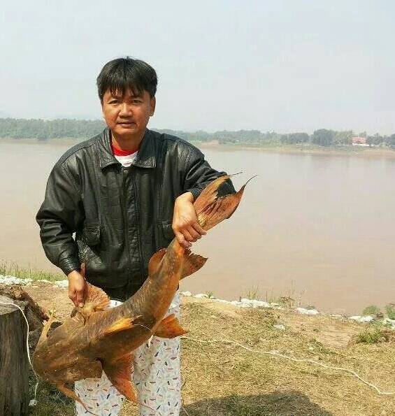 My Image 1