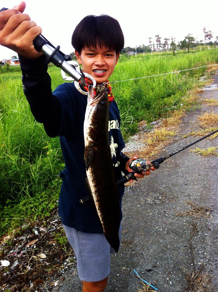 พเนจร .....