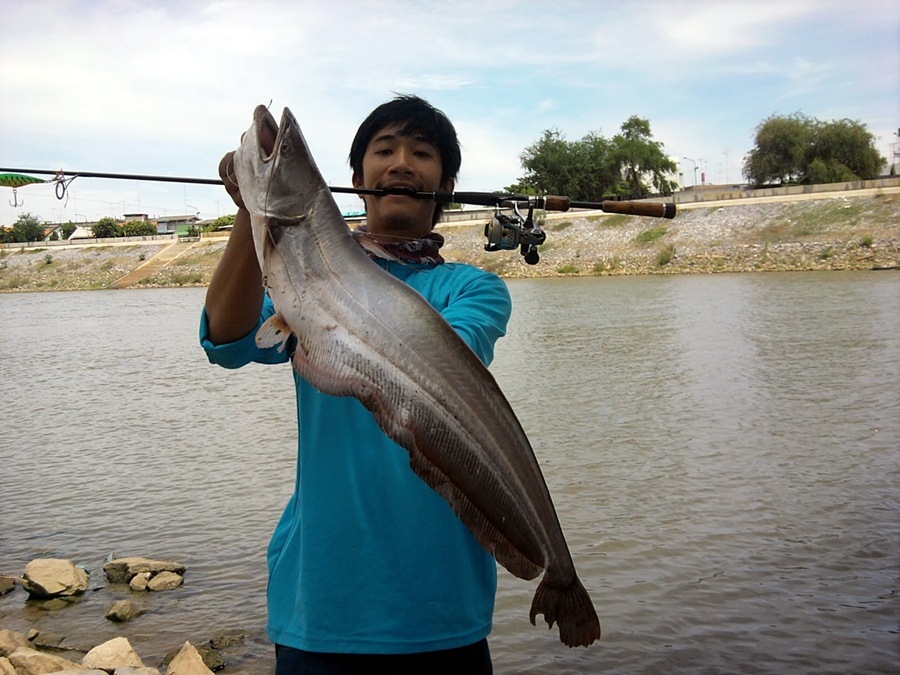..... คิดถึงจัง ^^ มหาศาล ปลาแม่น้ำ เจ้าพระยาสุดมันส์ ANGTHONG .....