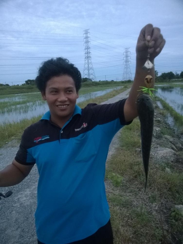 ,,, เช็คหมาย.. นาน้ำท่วม 1 ,,,