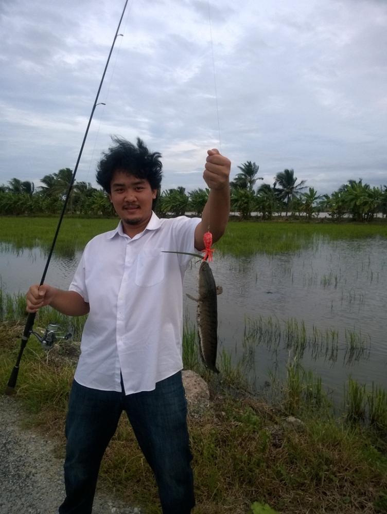 ,,, เช็คหมาย.. นาน้ำท่วม 1 ,,,