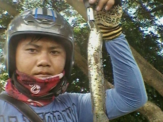 เจิมรอกใหม่ 