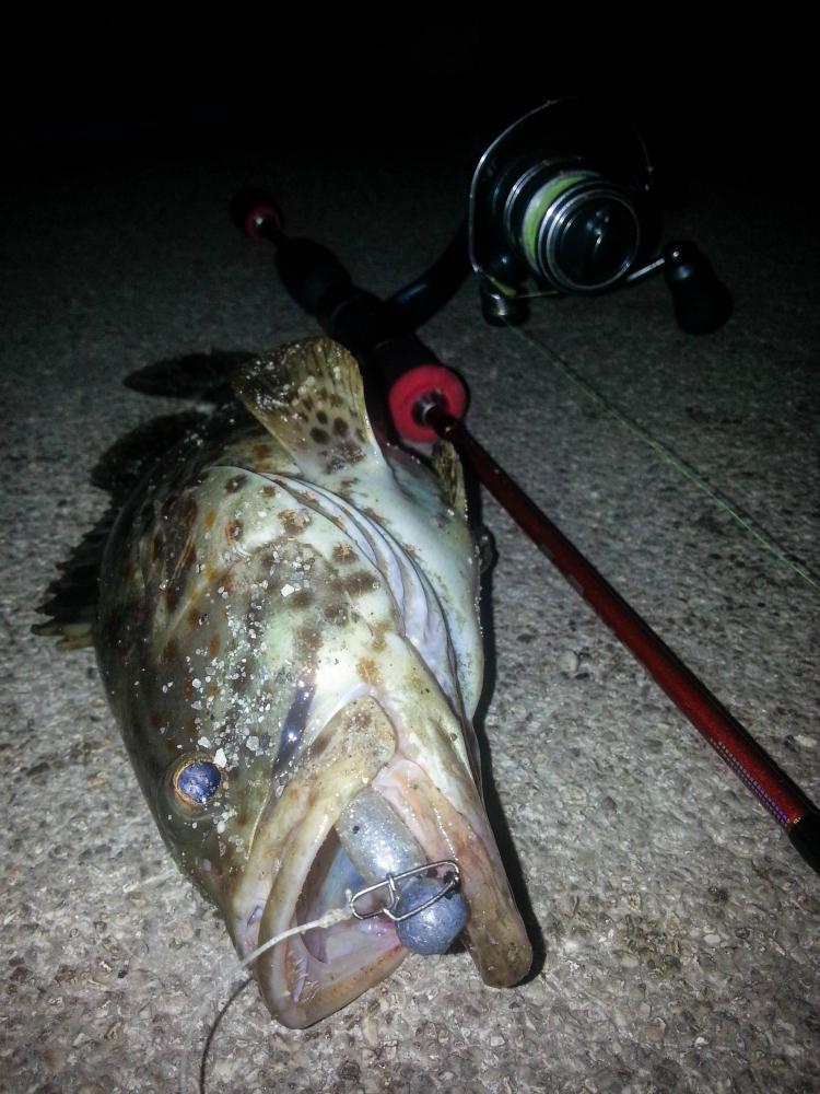 Ultra Light Fishing Night