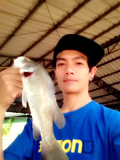 บางปะกง "พง" เริ่มมีตัว