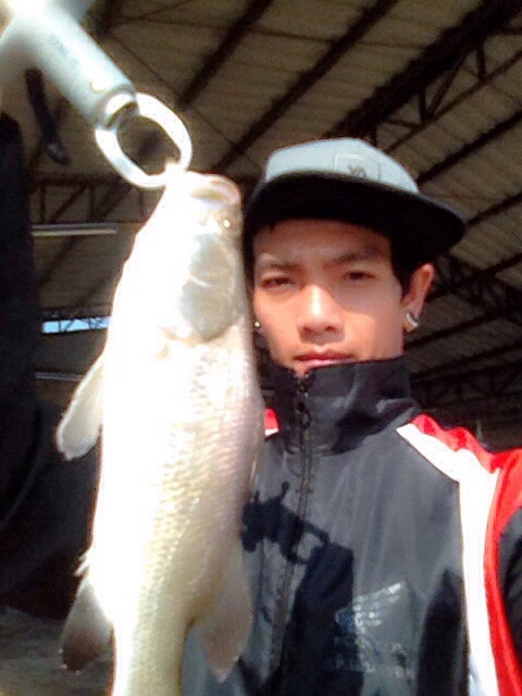บางปะกง "พง" เริ่มมีตัว