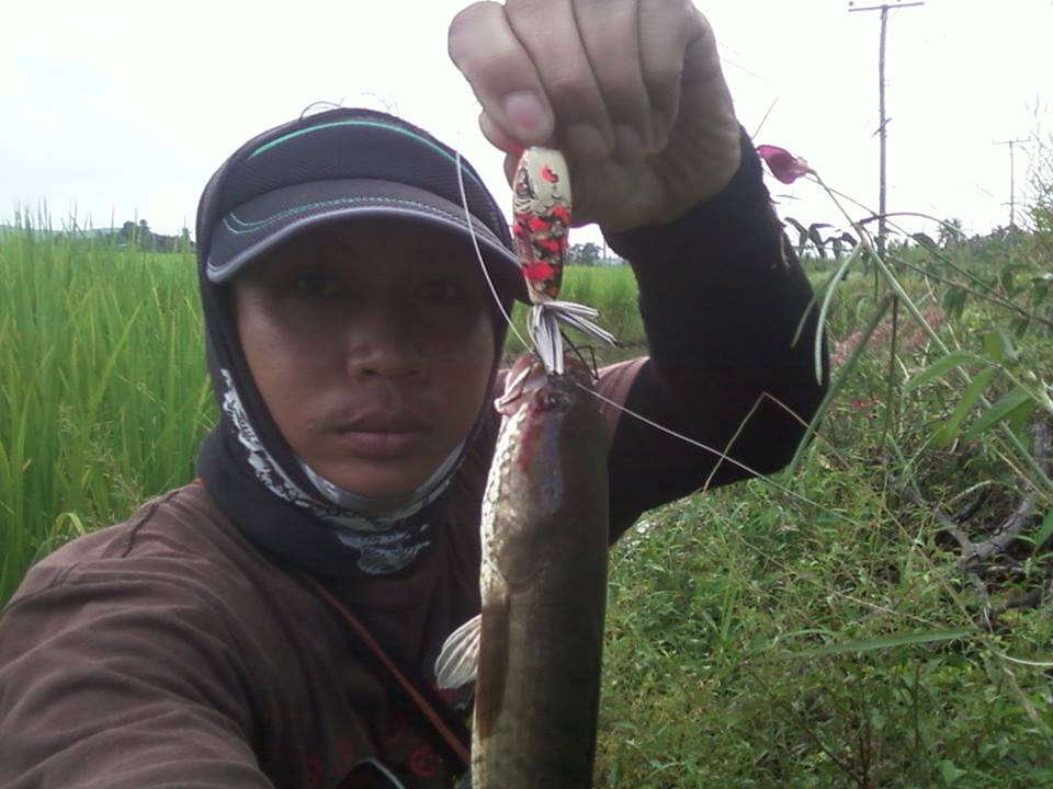 คิดอะไรไม่ออก ไปตีช่อนดีกว่า 