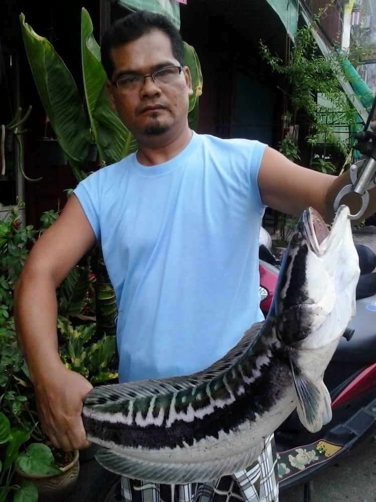 มันกัดตอนเช้า