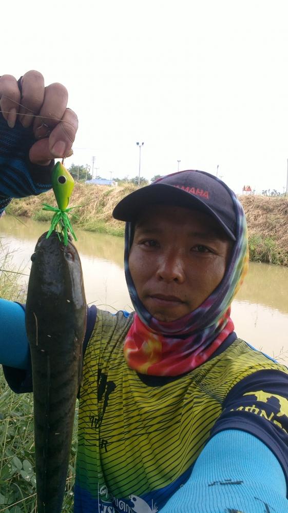กบ น้า  yut  รังสิต คับสับดีจริงๆ