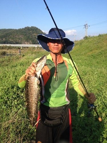 เอารูปปลาช่อนเกาหลีมาฝากคับ