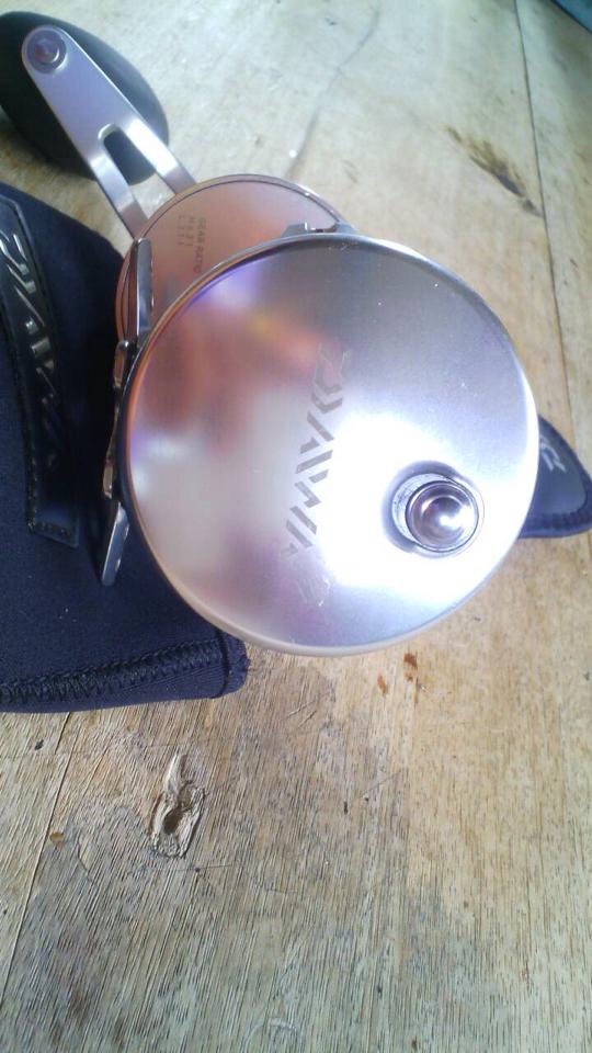 Daiwa Saltiga 35LD  2Speed  