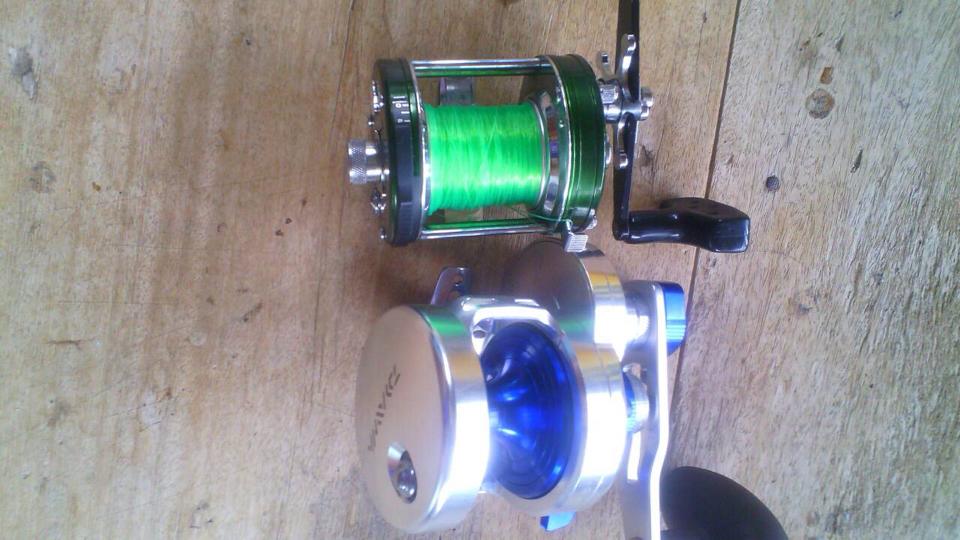 Daiwa Saltiga 35LD  2Speed  