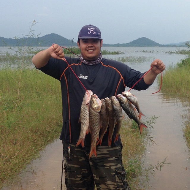 ได้มานิดหน่อย ในวันที่ฝนพรำ 