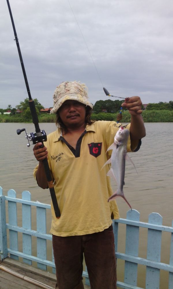 แพป่าโมก