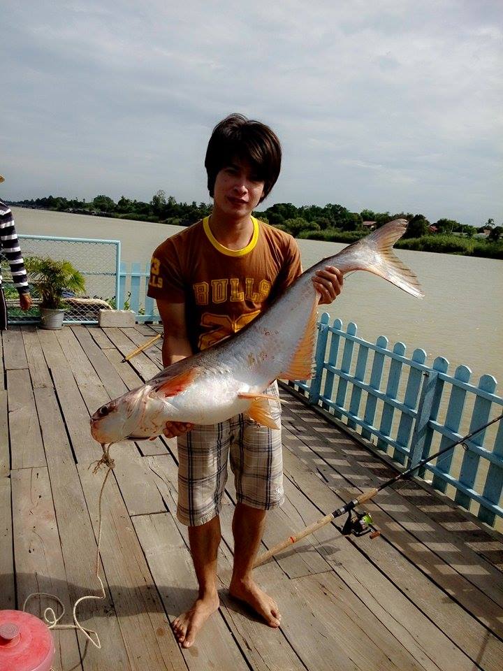 เพื่อนพ้องน้องพี่ที่แพป่าโมก