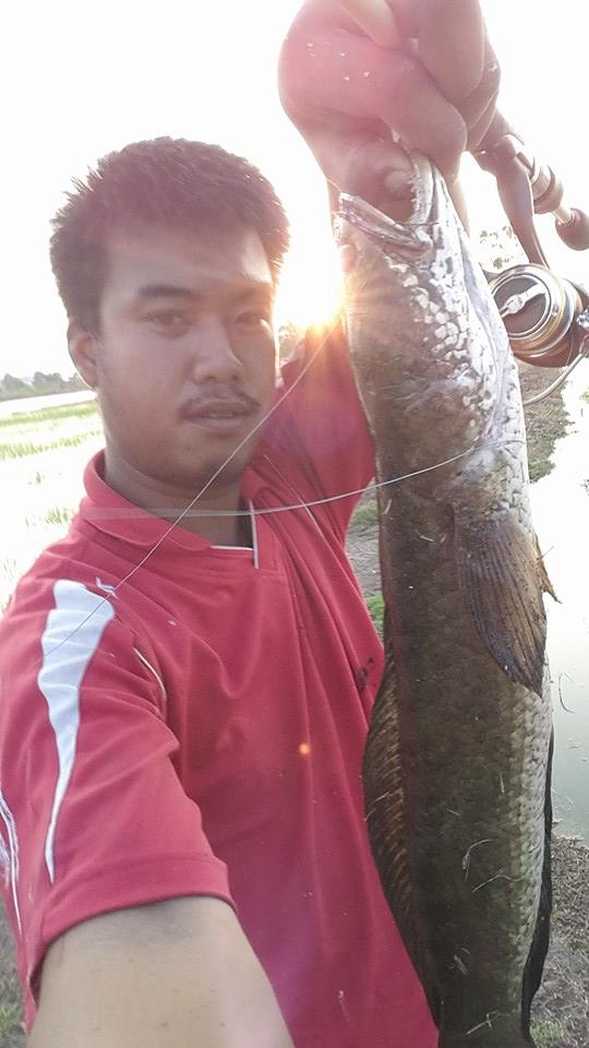 `......กบยางผีสิง  อูยขนลุกเลย!!  