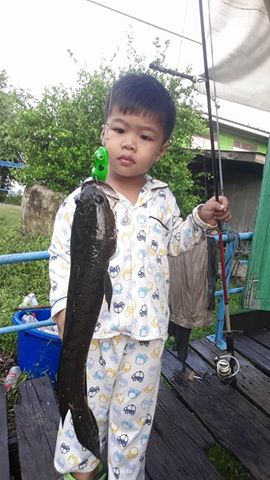 `......กบยางผีสิง  อูยขนลุกเลย!!  