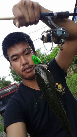 `......กบยางผีสิง  อูยขนลุกเลย!!  