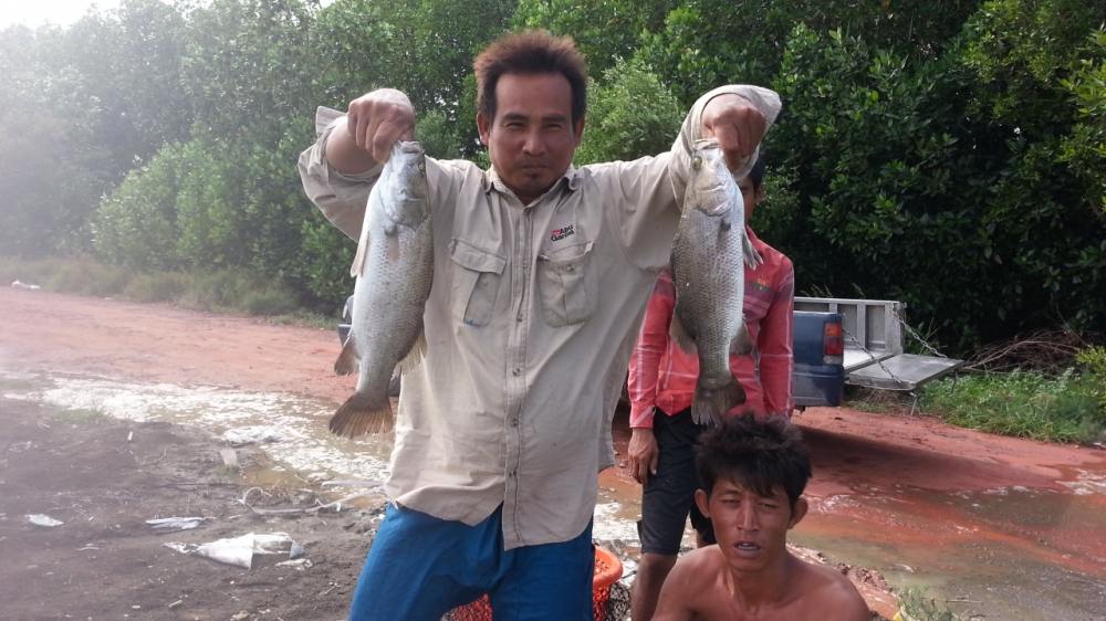 จัดแน่นอน100% บ่อน้องวิน2 วันที่ 19 ต.ค 57