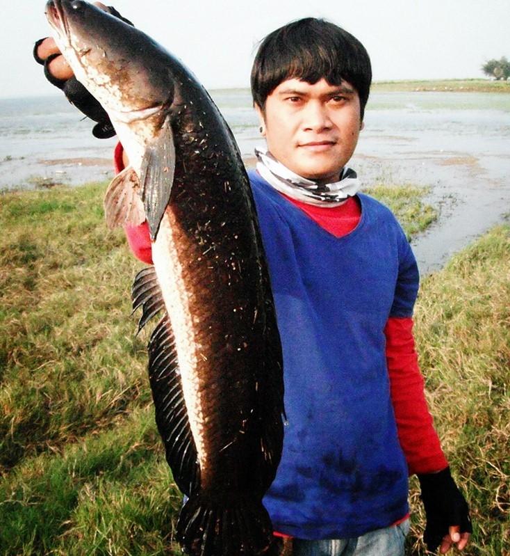 N > FiShing & Motocross < N