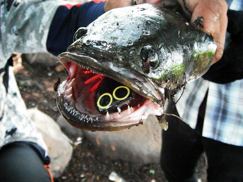 N > FiShing & Motocross < N