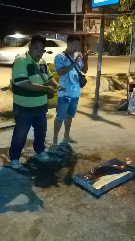 ปลาดุกตัวใหญ่ครับ