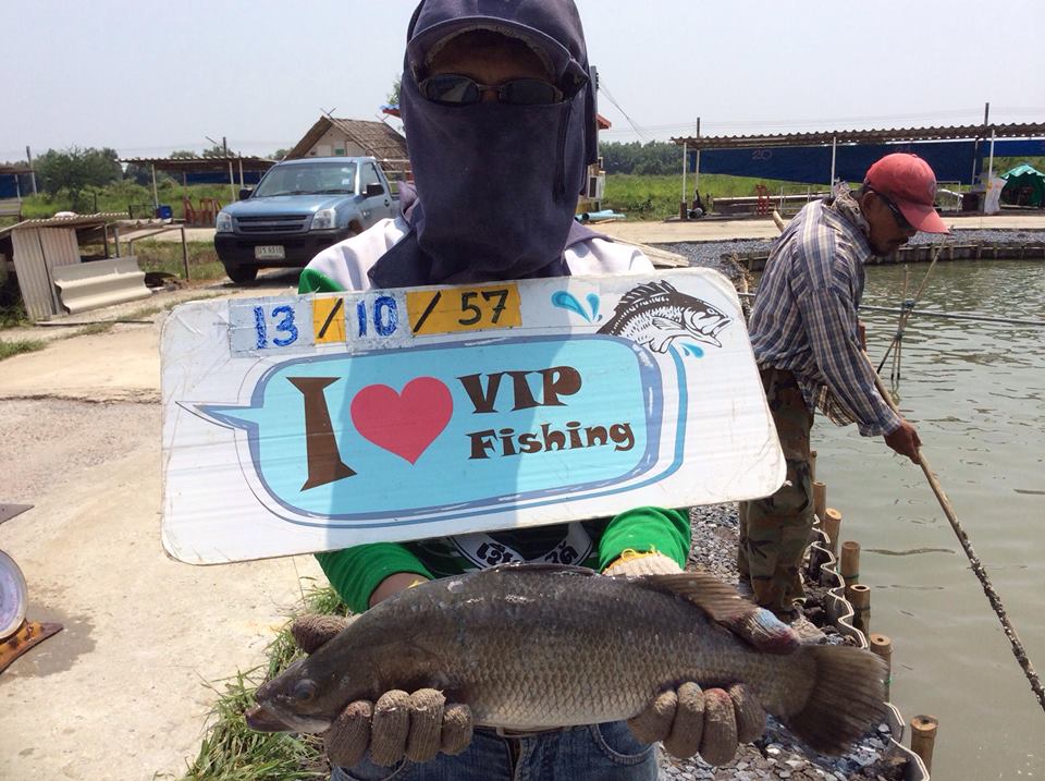 บ่อ VIP ลงปลา 600 ตัว
