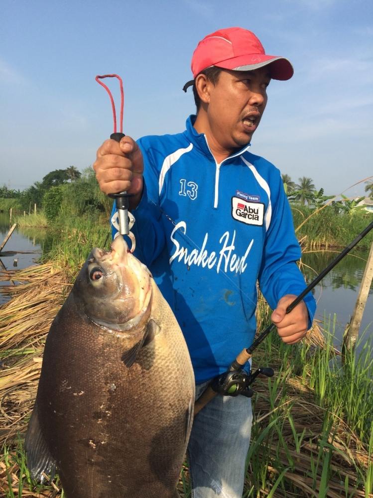 Snakehead Angler Club กับ เปคู ไซ้ร์ 10 up