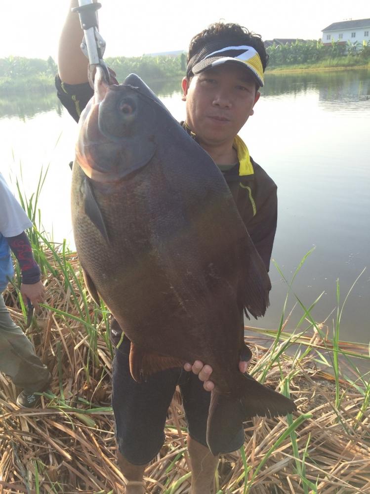 Snakehead Angler Club กับ เปคู ไซ้ร์ 10 up