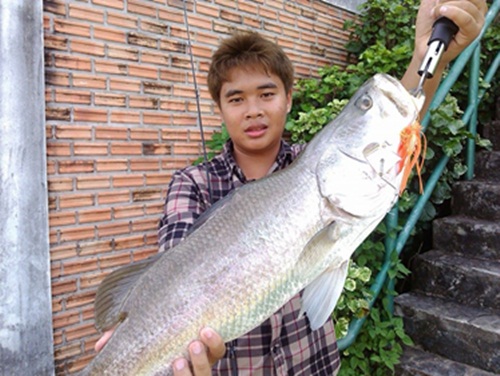 GT ขัง ผาตะวัน รีสอร์ท 