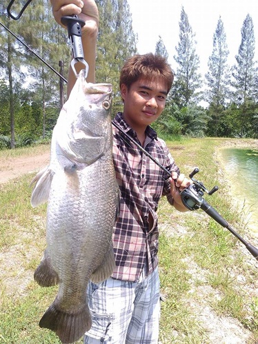 GT ขัง ผาตะวัน รีสอร์ท 